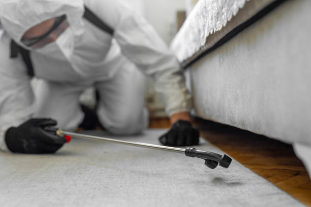 Professional Ant Control technician working in Buenaventura Lakes, FL